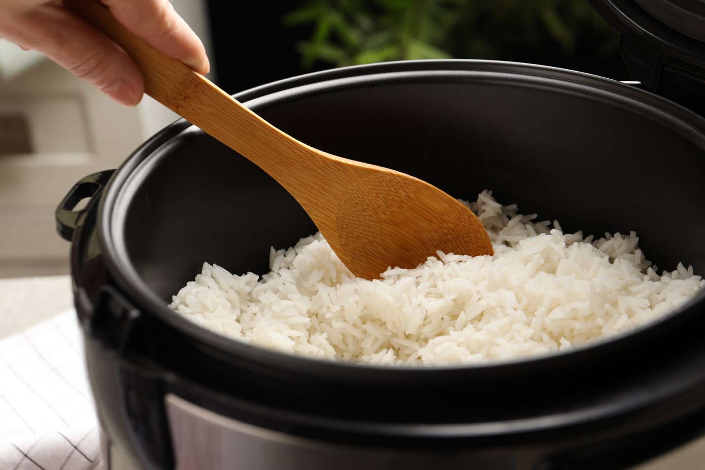 Zašto mi treba kuhalo za rižu? Pa zato!