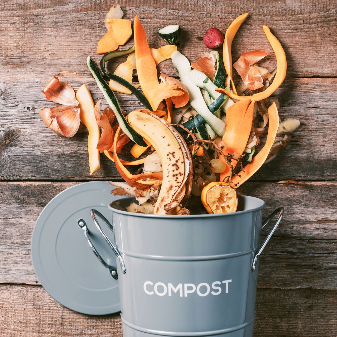 Testirali smo: REENCLE kućni komposter